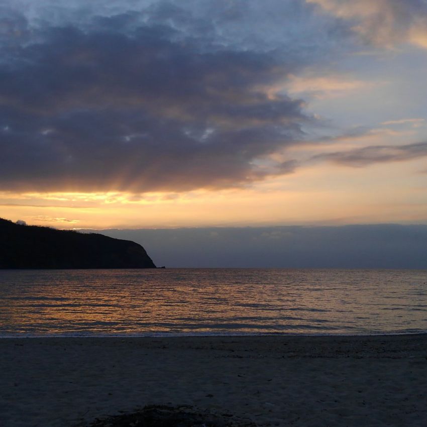 奄美の食文化    - タナガ（テナガエビ）